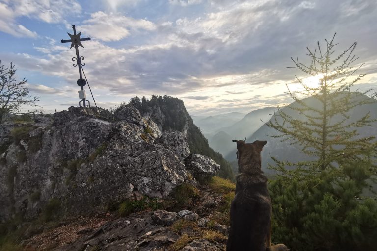 Yoga Retreat in den Bergen mit Hund